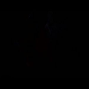 Meet your Posher, Hudson